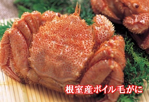 ＜12月21日決済分まで年内配送＞【北海道根室産】ボイル毛がに7尾 D-01015