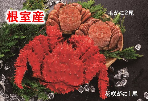 ＜12月21日決済分まで年内配送＞【北海道根室産】花咲がにと毛がに2尾 D-01017