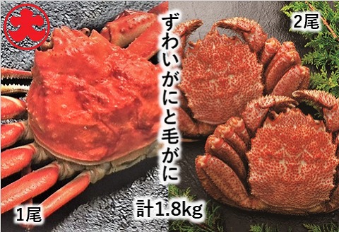 ＜12月21日決済分まで年内配送＞ずわいがに姿800g×1尾、毛がに500g×2尾 D-01039