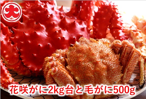 ＜12月21日決済分まで年内配送＞花咲がに2kg台と毛がに500g D-01043