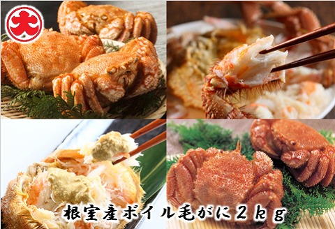 ＜12月21日決済分まで年内配送＞【北海道根室産】ボイル毛がに400g×5尾(計2kg) D-01054