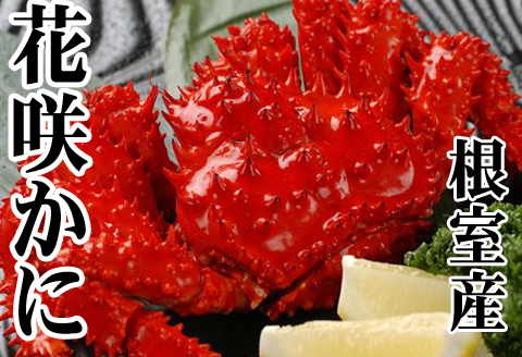 ＜12月21日決済分まで年内配送＞【北海道根室産】花咲かに500～650g×6尾 D-30043