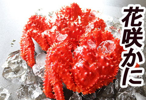 ＜12月21日決済分まで年内配送＞【北海道根室産】花咲かに400～600g×10尾 D-36007