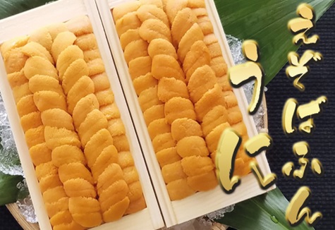 エゾバフンウニ140g×4折[2026年2月下旬以降発送] E-40009