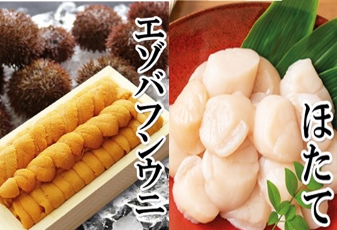 エゾバフンウニ140g×1折、お刺身ホタテ貝柱500g×1P[11月下旬以降発送] E-40019