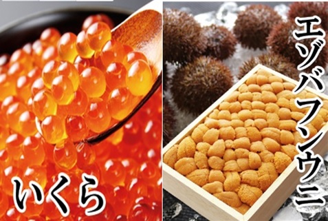エゾバフンウニバラ詰め150g×1折、いくら醤油漬け150g×1P[11月下旬以降発送]  E-40022