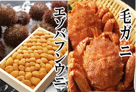 エゾバフンウニバラ詰め150g×1折、毛ガニ300g前後～400g前後×2尾[11月下旬以降発送] E-40024