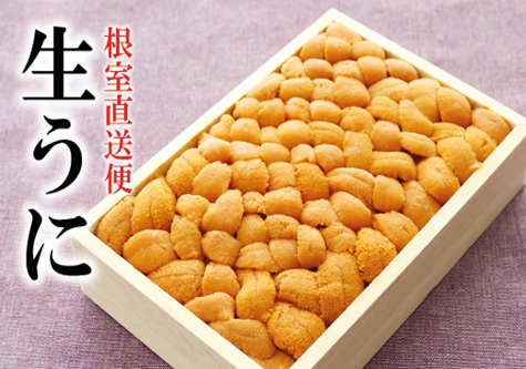 ＜12月14日決済分まで年内配送＞エゾバフンウニ250g×1折 F-40007