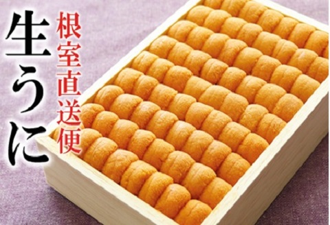 ＜12月14日決済分まで年内配送＞エゾバフンウニ並べ詰め150g×1折 D-40047