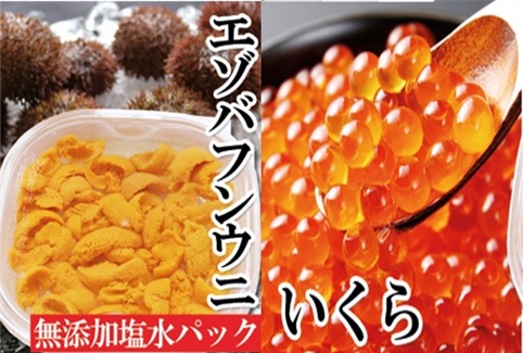 エゾバフンウニ塩水パック130g×1P、いくら醤油漬150g×1P[2026年1月中旬以降発送] D-40050