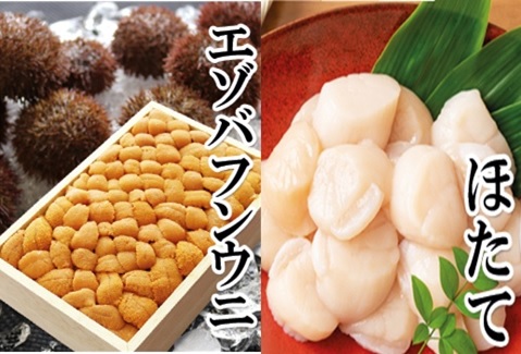 エゾバフンウニバラ詰め140g×1枚、お刺身ホタテ貝柱500g×1P[2026年1月中旬以降発送] D-40055