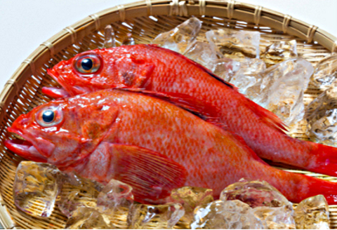 ＜12月21日決済分まで年内配送＞【北海道根室産】鮮キチジ(めんめ、キンキ) D-52001