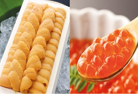 エゾバフンウニ140g×1折、いくら醤油漬150g×1P[11月下旬以降発送] D-53027