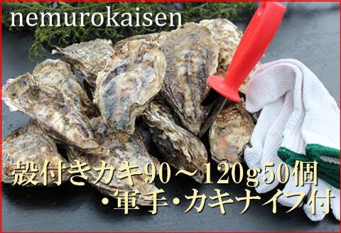 ＜12月21日決済分まで年内配送＞【北海道根室産】殻付カキ90～120g×50個 D-57027