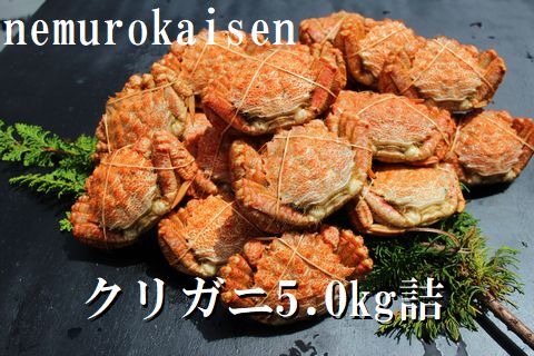 ＜12月21日決済分まで年内配送＞【北海道根室産】クリガニ200～250g×20～25尾(計5.0kg) D-57031
