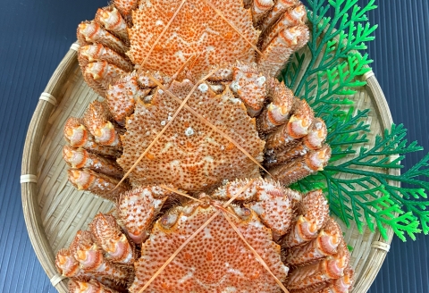 毛蟹600g×3尾 D-66013