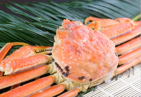 ずわい蟹600g×5尾 D-66014