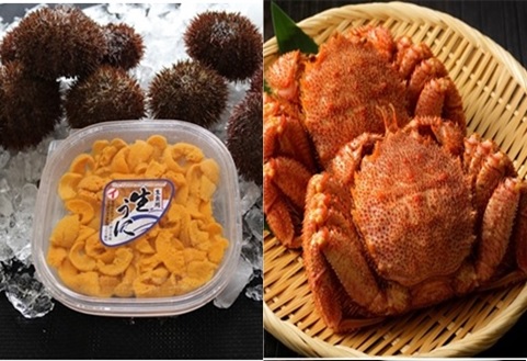 エゾバフンウニ塩水パック100g×1P、毛ガニ300g前後～400g前後×2尾[11月中旬以降発送] D-71062