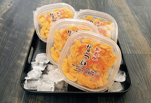 無添加エゾバフンウニ塩水パック約100g×4P[2026年1月下旬以降発送] D-91002