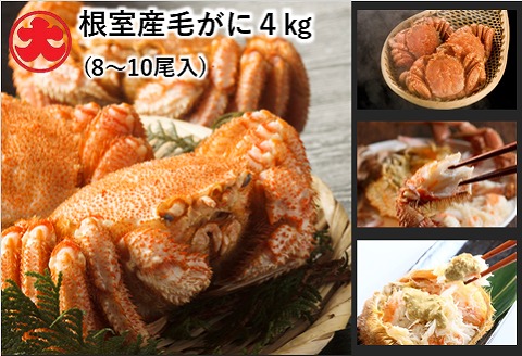＜12月21日決済分まで年内配送＞【北海道根室産】ボイル毛がに8～10尾(計4kg) E-01003