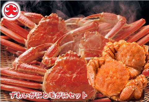 ＜12月21日決済分まで年内配送＞ずわいがにと毛がにセット E-01005