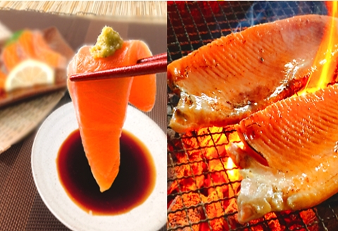 お刺身トラウトサーモン10～20本(計5kg)＆とろサーモンハラミ15～25枚(計5kg) E-09002