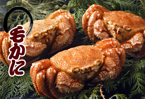 ＜12月21日決済分まで年内配送＞毛かに400g前後～550g前後×6尾 E-30007