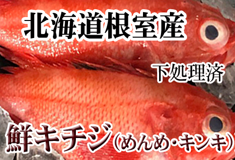 ＜12月21日決済分まで年内配送＞【北海道根室産】キチジ(キンキ・めんめ)×7～11尾(下処理済) E-36005