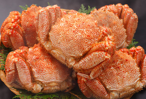 毛ガニ 6～8尾 計4kg E-47001