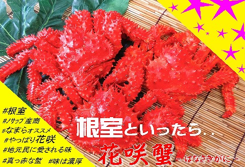 ＜12月21日決済分まで年内配送＞【北海道根室産】花咲がに5～6尾(計4.5kg以上) E-59001