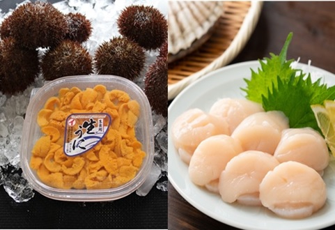 エゾバフンウニ塩水100g×2P、お刺身ホタテ貝柱500g×2P[11月下旬以降発送] E-71017