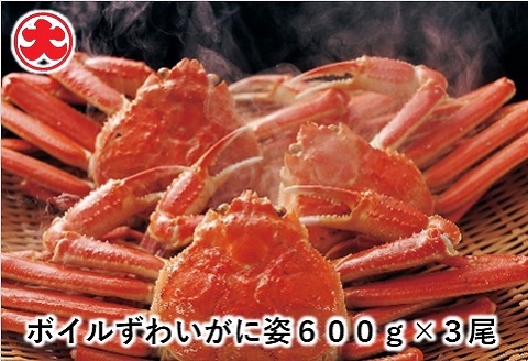 ＜12月21日決済分まで年内配送＞ボイルずわいがに姿600g×3尾 F-01008