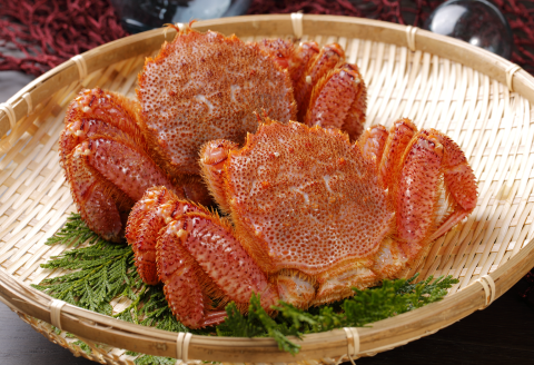 ＜12月21日決済分まで年内配送＞【北海道根室産】浜ゆで毛がに600～700g×2尾 D-05003