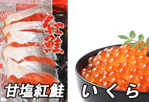 ＜12月21日決済分まで年内配送＞甘塩紅鮭5切×5P、いくら醤油漬け100g×3P F-30003