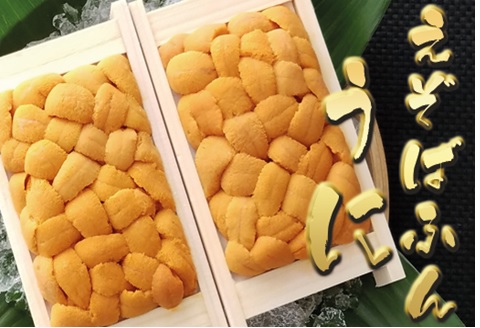 ＜12月10日決済分まで年内配送＞エゾバフンウニ70～80g×2折 C-53025