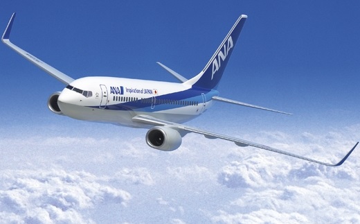 ANAで行く！根室満喫プラン＜秋旅＞東京－釧路往復航空券ホテル1泊付き【50,000円分助成】 K-63003