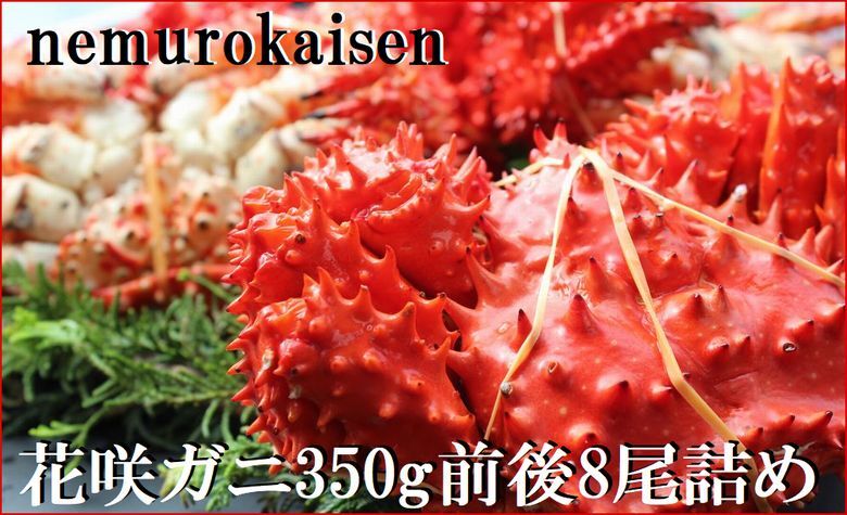 回転寿司根室はなまる」お食事券 (東京店舗限定・特別予約席) H-79001: 根室市ANAのふるさと納税