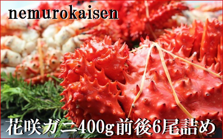 回転寿司根室はなまる」お食事券 (東京店舗限定・特別予約席) H-79001: 根室市ANAのふるさと納税