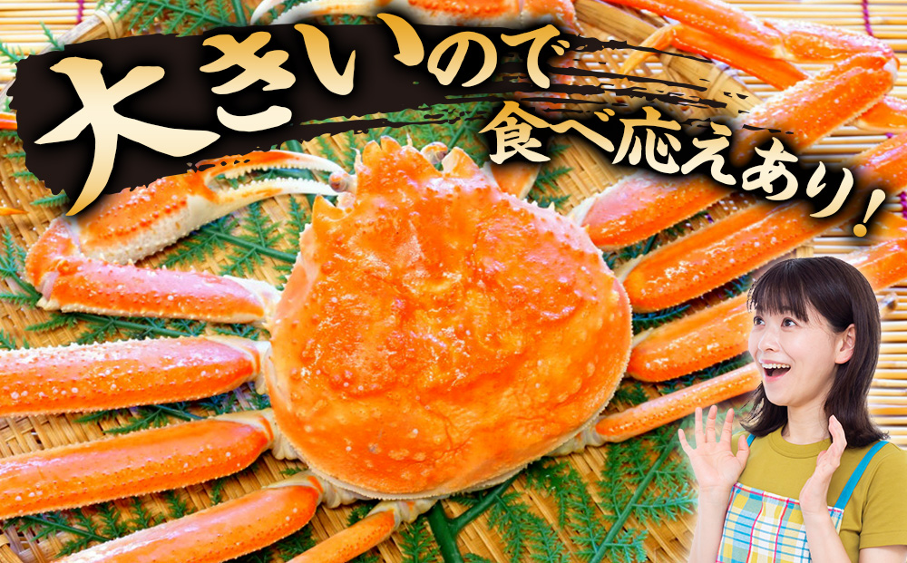 北海道産【 朝ゆで 】訳ありオオズワイガニ 1.0kg詰 ＜かにのマルマサ＞道産品 オオズワイ ズワイガニ ずわい蟹 カニ 蟹 規格外品 不揃い 訳アリ 訳有り