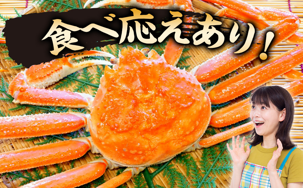 北海道産【 朝ゆで 】訳ありオオズワイガニ 800g詰 道産品 オオズワイ カニ 蟹 規格外品 不揃い 訳アリ 訳有り