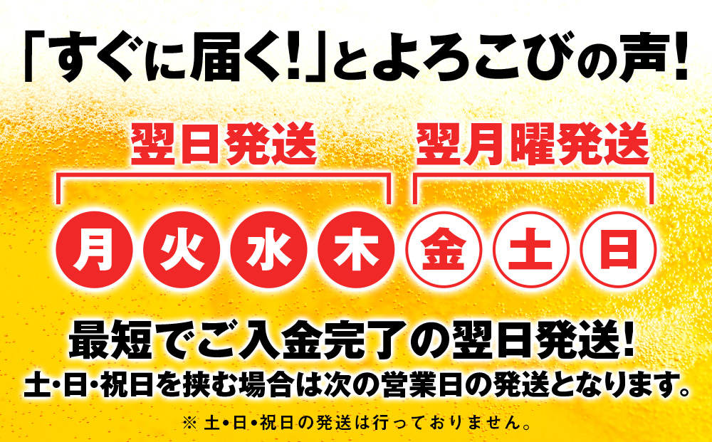 【限定醸造】【訳あり】 キリン秋味 ＜ 北海道千歳工場産 ＞ 350ml （ 24本 ） ビール 限定 秋味 千歳 北海道 キリン キリンビール