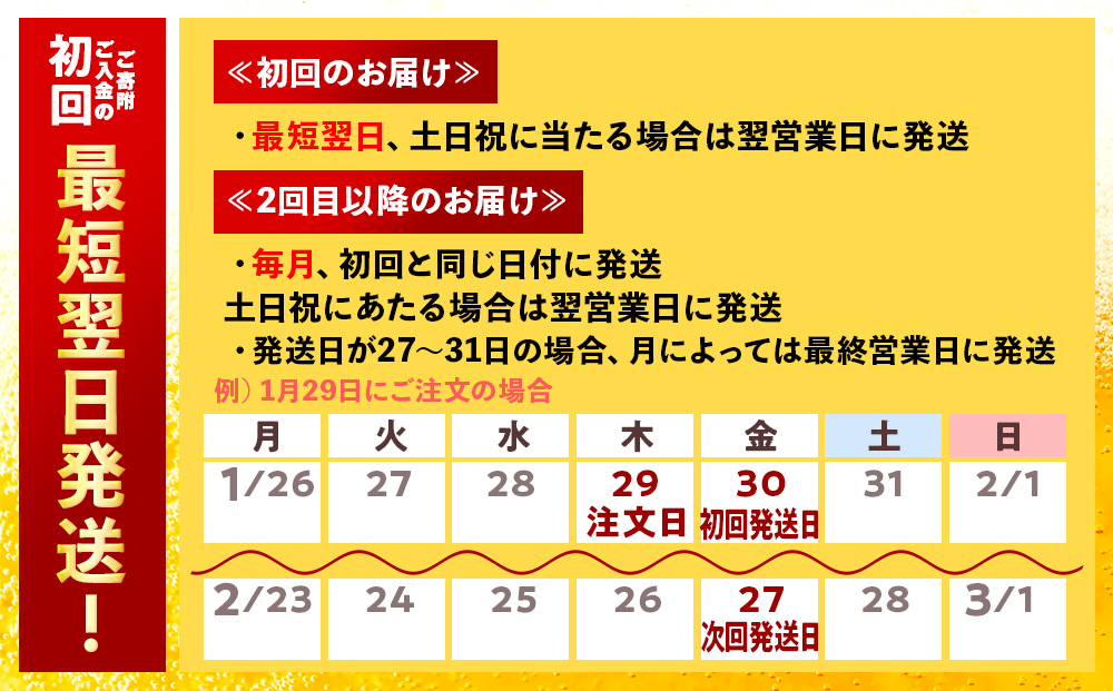 【12月28日決済確定分まで年内発送】【定期便9ヶ月】キリンラガービール 500ml（24本）＜北海道千歳工場産＞