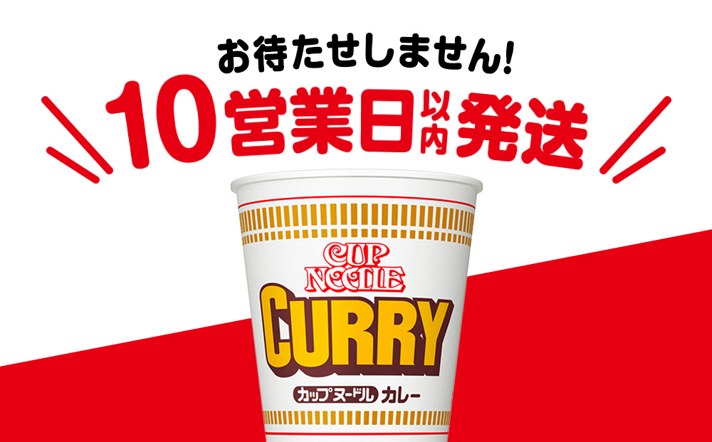 10営業日以内発送 日清 カレーヌ－ドル★1箱（20食入）