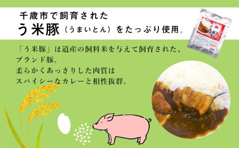 う米豚カレー200g×8袋: 千歳市ANAのふるさと納税