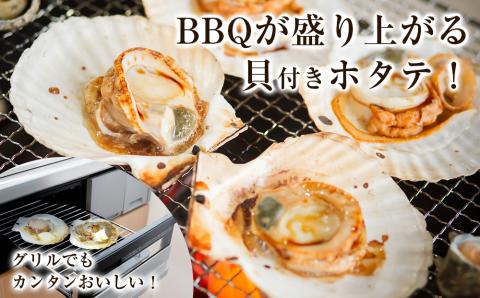 北海道産 冷凍ホタテ片貝 15枚セット