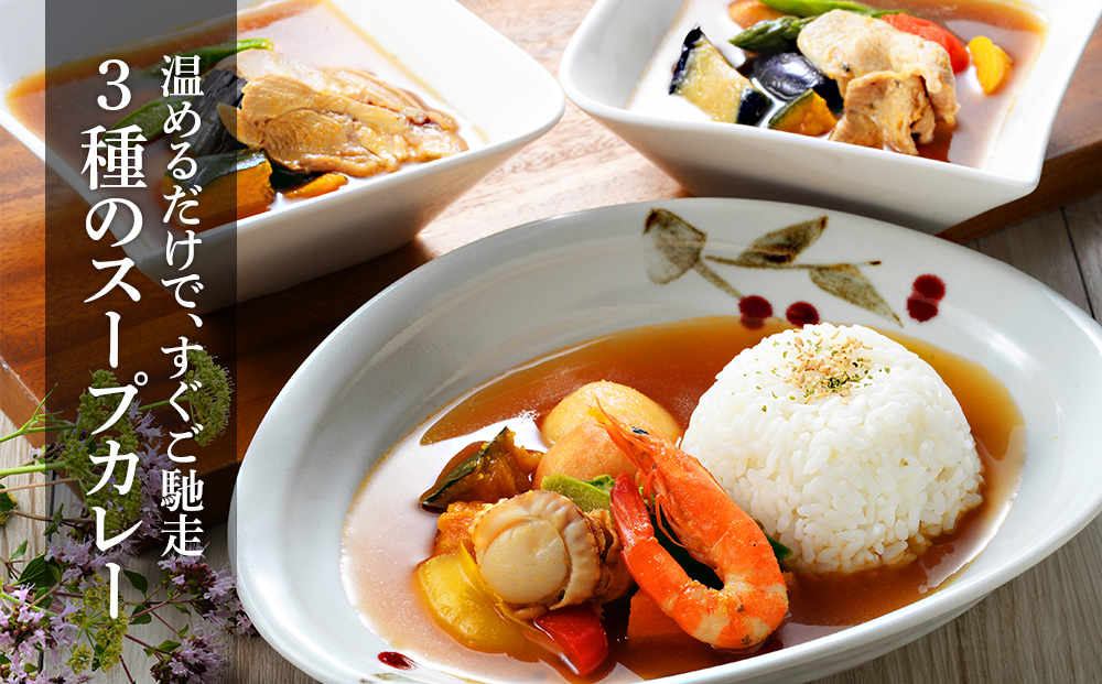 北海道グルメ 3種のスープカレー シーフード ・ チキン ・ ポーク 3種セット 各200ｇ×2【札幌バルナバフーズ】魚介 鶏肉 豚肉 千歳 北海道 バルナバ