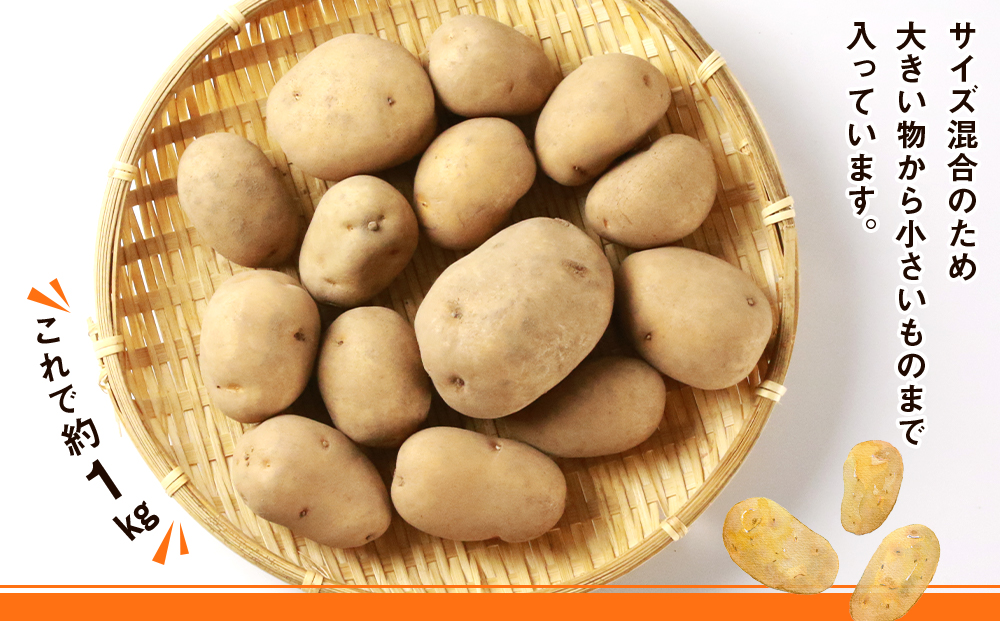 【2026年1月以降発送】越冬インカのめざめ混合　20kg