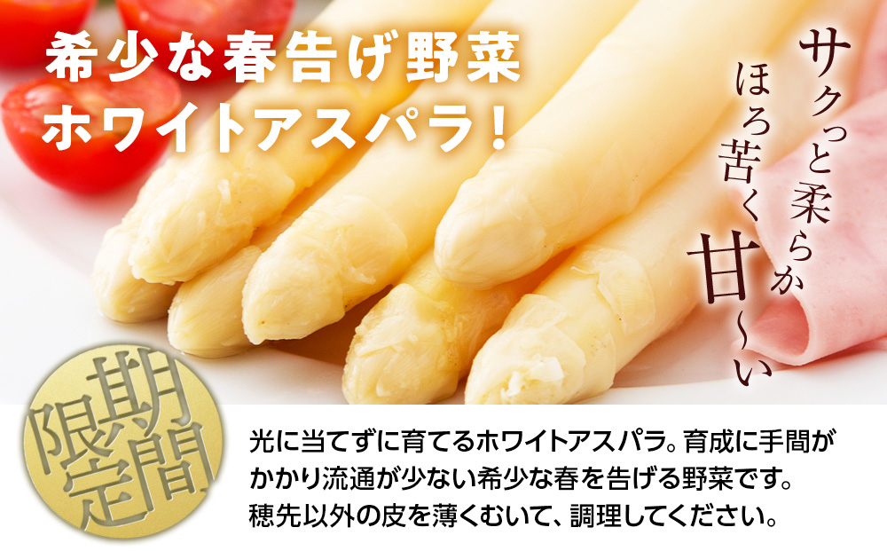 【2026年春発送】 ホワイトアスパラ 900g M～2L アスパラ アスパラガス 野菜 千歳 北海道
