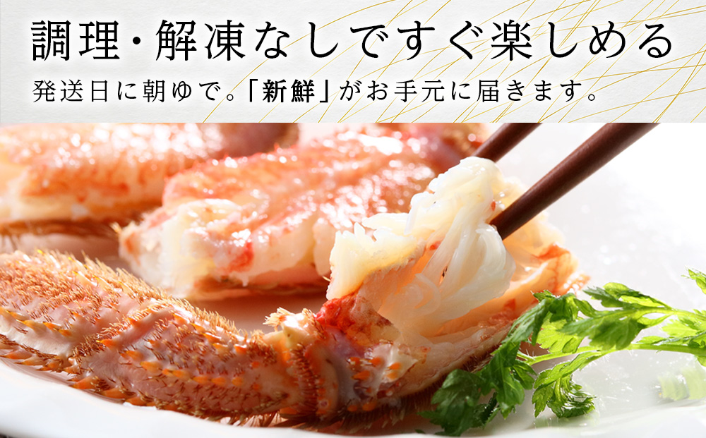 北海道産【朝ゆで】毛ガニ（330g前後）3尾 期間限定！≪かにのマルマサ≫