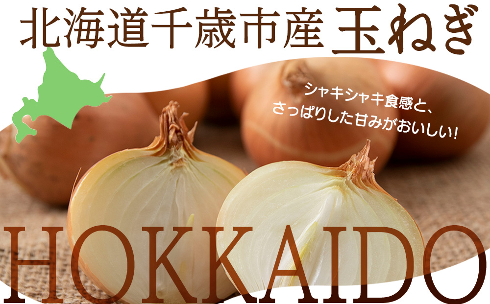【先行予約】玉ねぎ 10kg Lサイズ 北海道 千歳市産 甘い たまねぎ 野菜 冷蔵 タマネギ 【假屋フードブリッジ】
